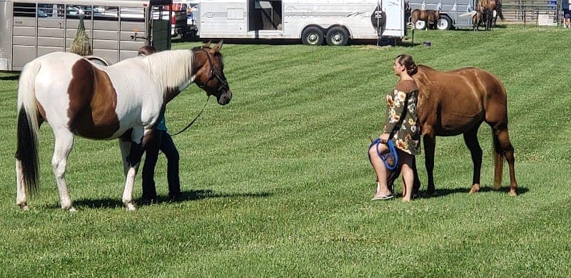 Montgomery County Fairgrounds