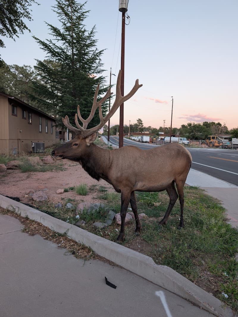 PAYSON AZ.