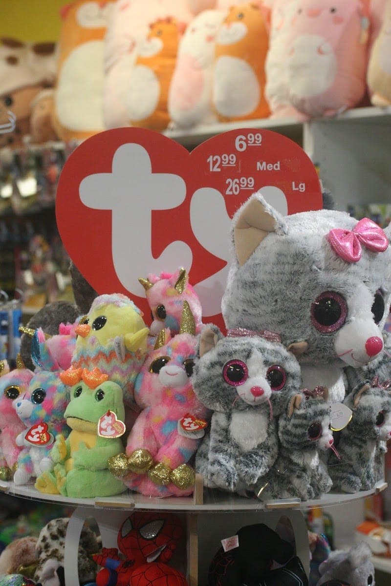Brainiacs Toy Shop