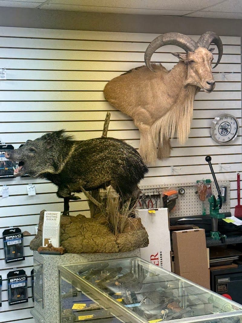 Buckstop Sports