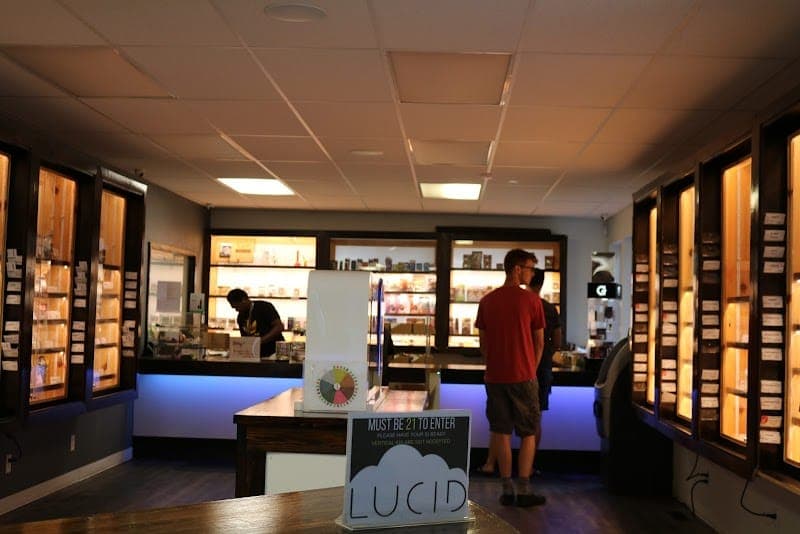 Lucid